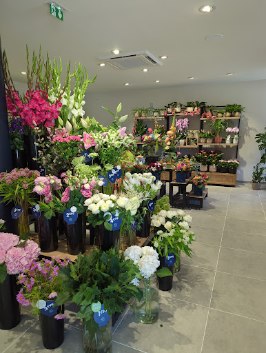 Monceau Fleurs Sevrier - Thumbnail