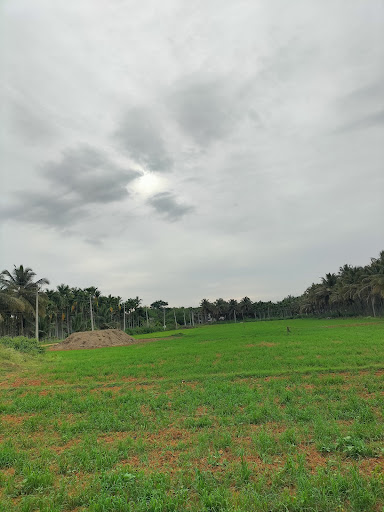 Gallery image 10
