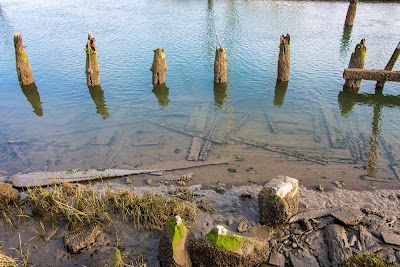 Port of Siuslaw Campground