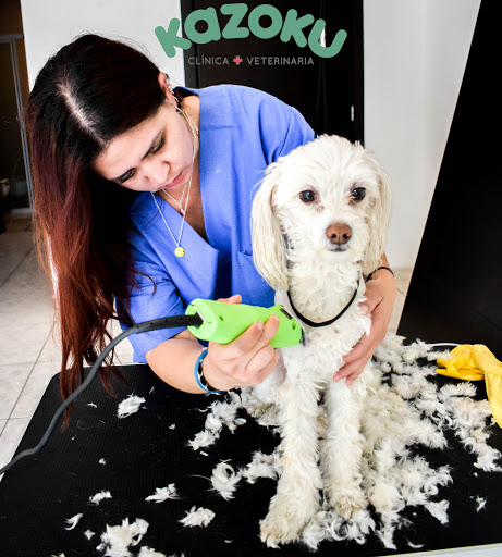 Clinica veterinaria Kazoku
