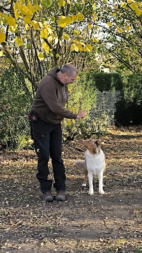 Natureduc - éducateur comportementaliste canin - Thumbnail