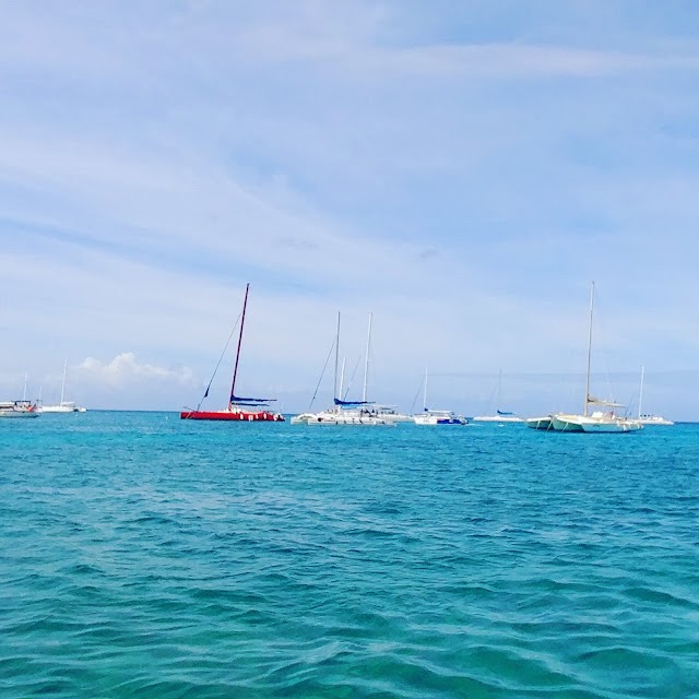 Île Saona