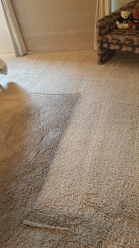 The Carpet & Tile Care Company