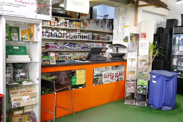 Culture Indoor