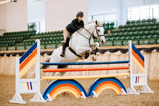 Bishop Burton Equine Centre - Thumbnail