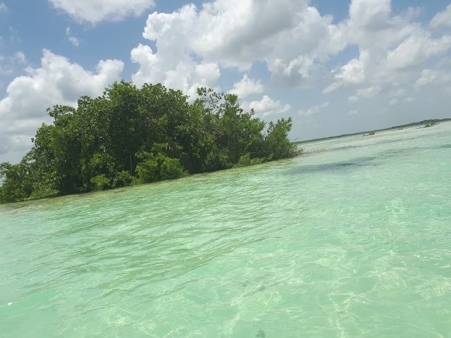 Bird Island "Bird Sanctuary" Bacalar