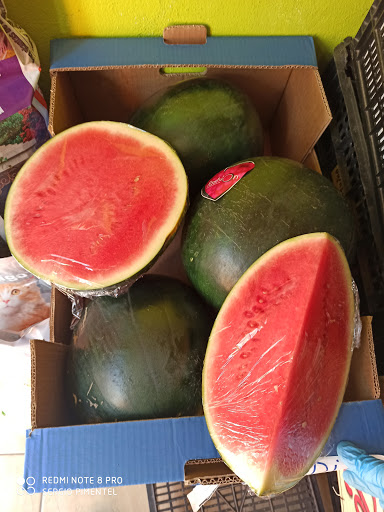 Alimentación Casa Sergio - Thumbnail