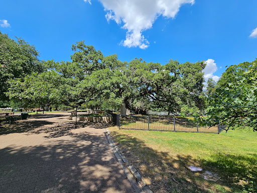Founders Oak Gallery - United States