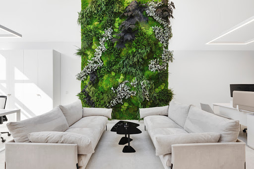 GREENAREA - Visual