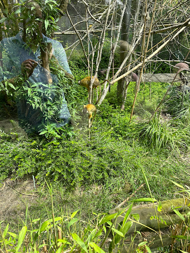 Spielplatz im Zoo Osnabrück Logo