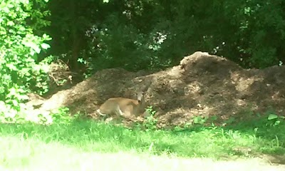 Photos of Bunker Hill Golf Course