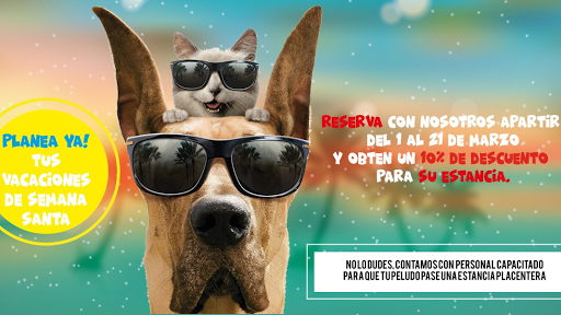 Mr. Croquet Mx