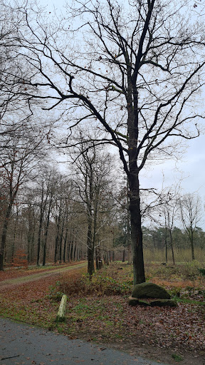 Buinerkeet Ossenstal - Thumbnail
