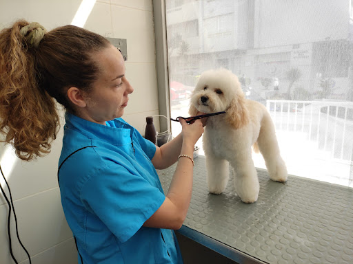 Clinica Veterinaria Animal House