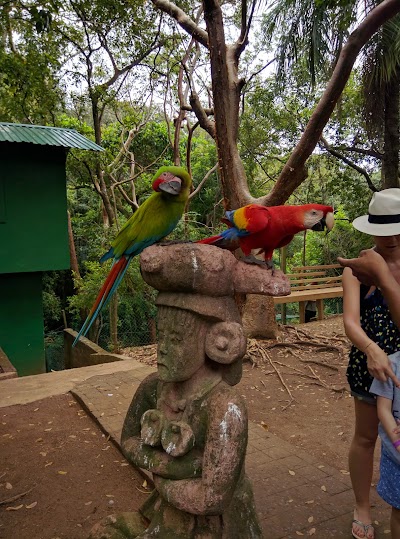 Photos of Mayan Eden