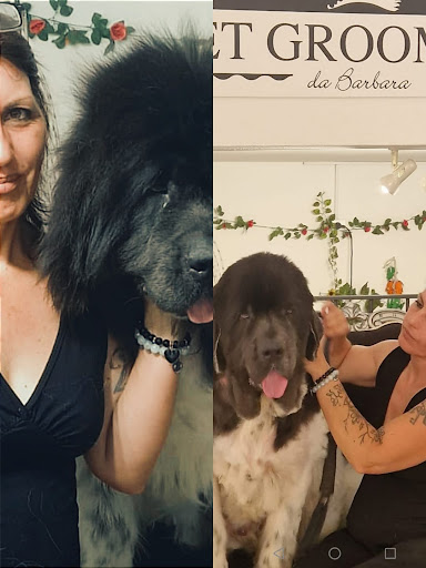 Pet Grooming da Barbara