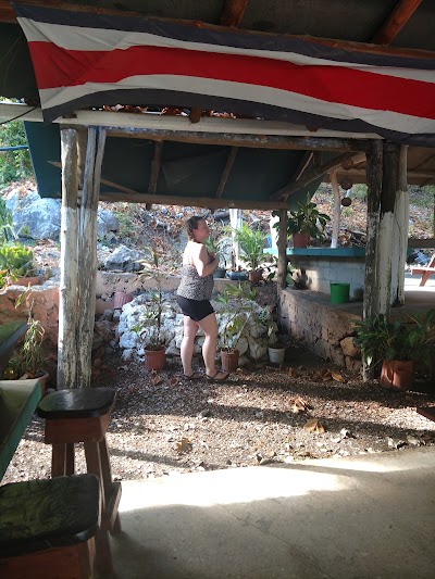Photos of Tochi's Bar