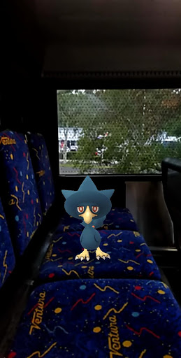 Upper Ferntree Gully Station/Burwood Hwy - Thumbnail