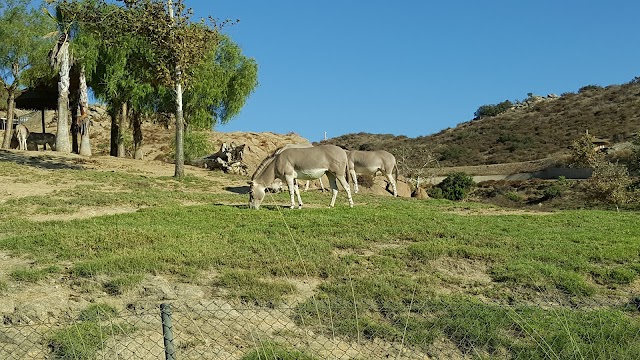 San Diego Zoo Safari Park