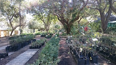 Photos of Skukuza Indigenous Plants Nursery