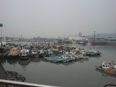 Photos of 팔미도 유람선
