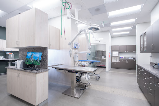 Pet Dental Specialists Gallery - United States