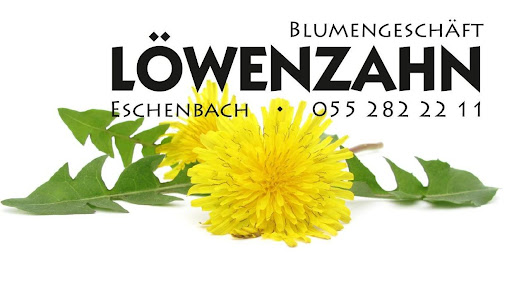Blumengeschäft Löwenzahn - Thumbnail
