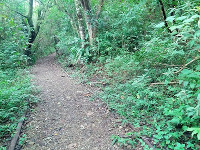 Photos of Children's Eternal Rain Forest Bajo del Tigre