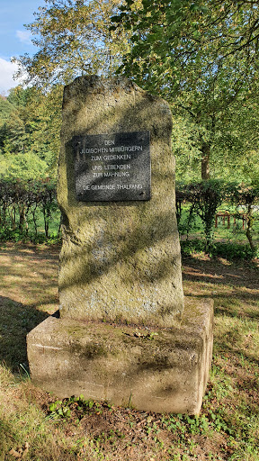 Jüdischer Friedhof Thalfang - Thumbnail