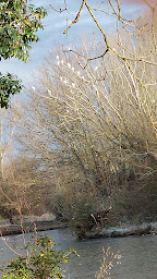 Photo n°12 de Reserve de l°Etang a Nouilhan à Nouilhan (Camping avec cabanes)