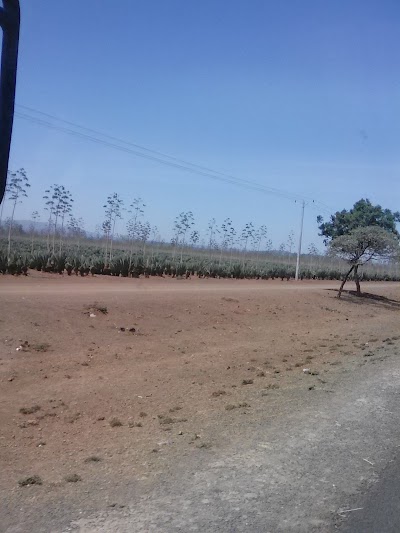 natural-feature