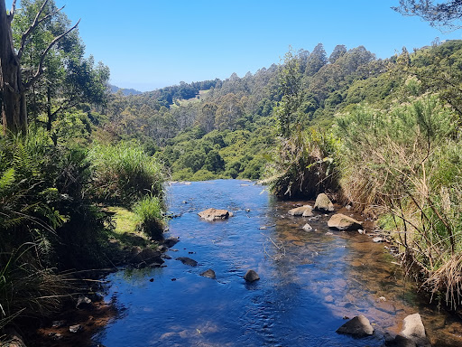 Delaneys Falls - Visual