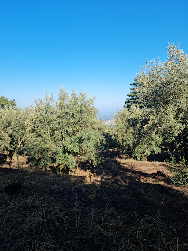 MEDITERRANEO GUSTO