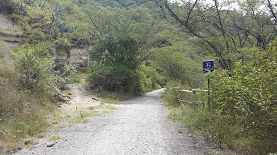 Photos of OM Terra