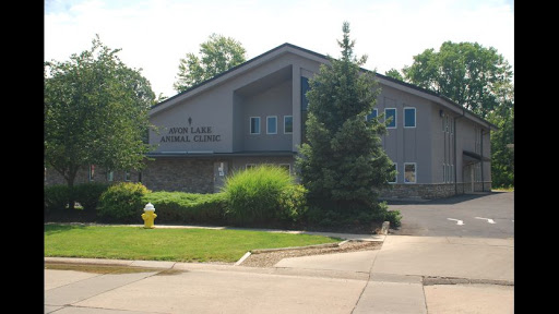 Avon Lake Animal Clinic