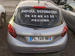 Photo n°17 de Papoul Réparation - Technicar Services à Pexiora (Garage automobile)