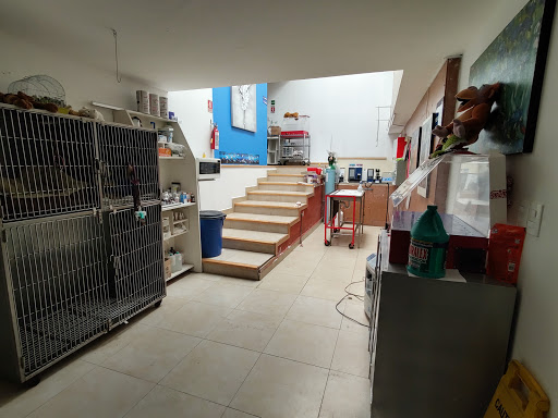Hospital veterinario Círculo Azul - Thumbnail
