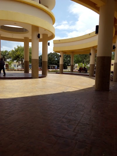 local-government-office