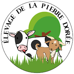 Photo n°3 de Elevage de la pierre dorée à Beaupont (Élevage laitier)