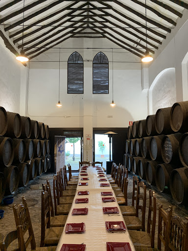 Museo Bodega El Alfoli