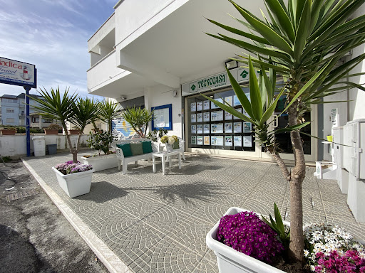 Affiliato Tecnocasa Immobiliare Anzio Marechiaro S.R.L.S. - Thumbnail