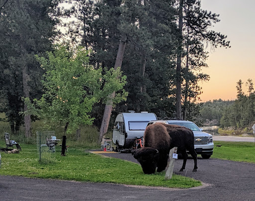 Legion Lake Campground - Thumbnail