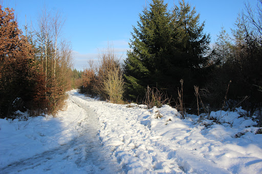 Kunstwanderweg - Visual