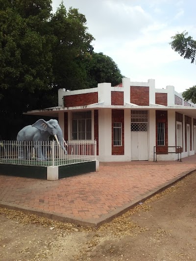 Photos of Museo Arqueologico Pubenza