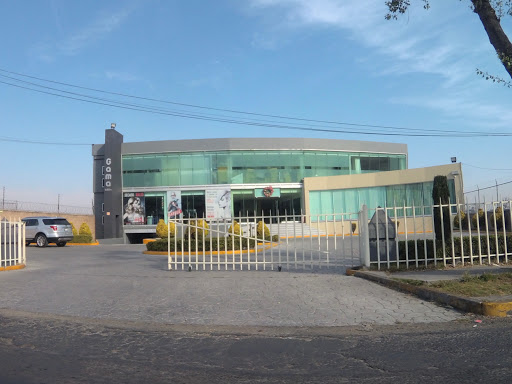 Gama Salón - Thumbnail