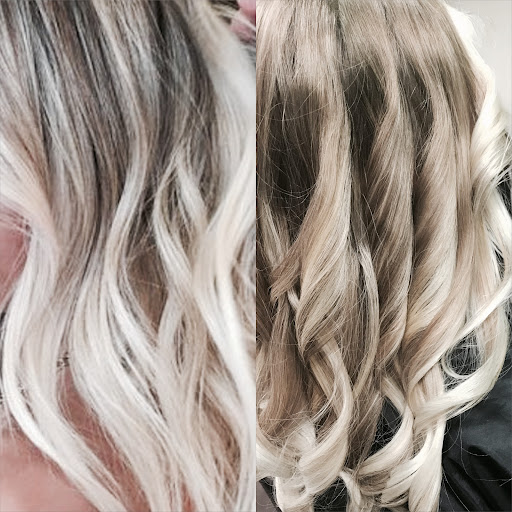 Die Friseurbiene - Thumbnail