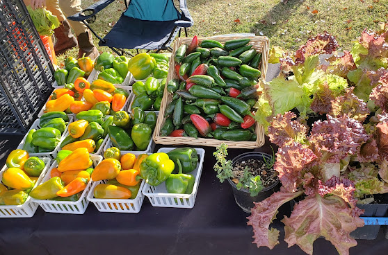 Dripping Springs Farmers Market by null