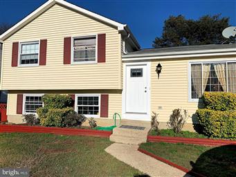 Violet Haag, Berkshire Hathaway HomeServices Homesale Realty - Thumbnail