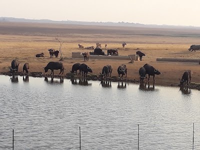 Photos of Puma Dullstroom Service Station
