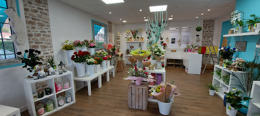 Amaryllis Pompignan 82 Gallery - France